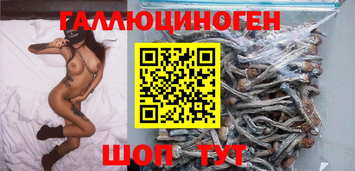 Сегежа  Псилоцибиновые грибы прущие грибы  Вход с VPN  Галлюциногенные грибы мухоморы 